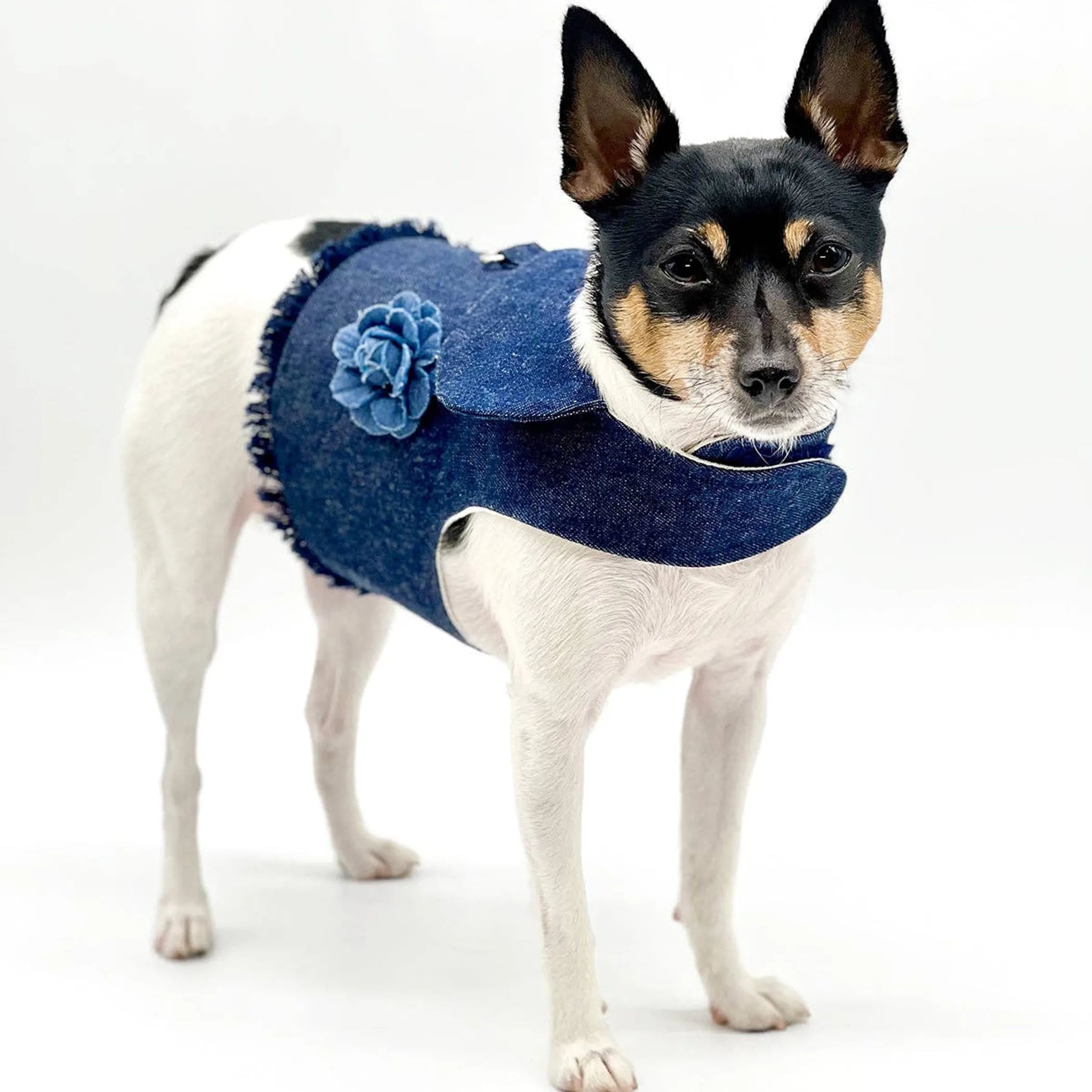 DCNY Harness Vest
